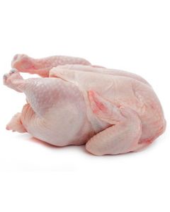Chicken Hen