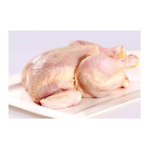 Tandoori Chicken