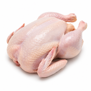 Chicken Hen