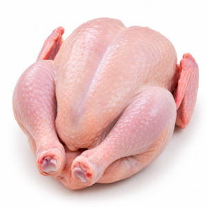 Large Chicken