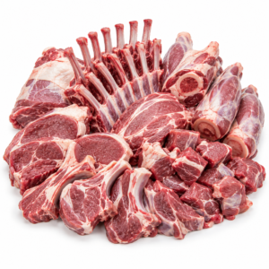 Fresh Meat